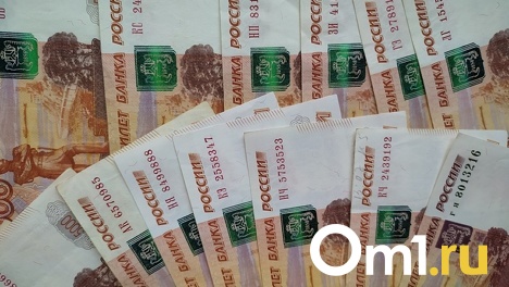 За охрану Красногорского гидроузла омские власти хотят заплатить 1,5 млн рублей