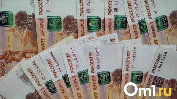 За охрану Красногорского гидроузла омские власти хотят заплатить 1,5 млн рублей