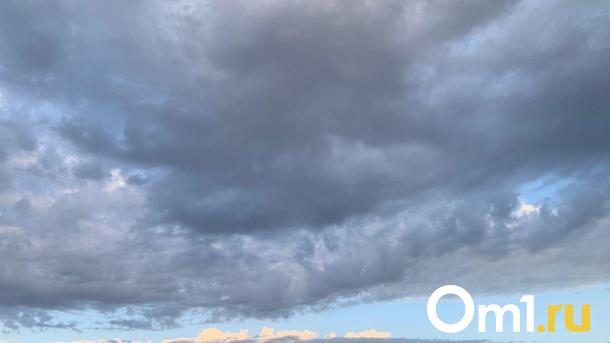 Сильный ветер и пыльная буря обрушились на Омск