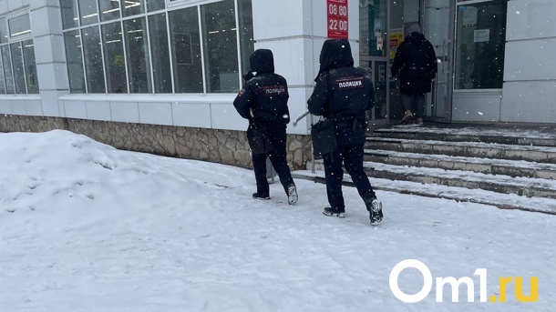 Нашли на улице посреди ночи: в Омске завершены поиски ребёнка