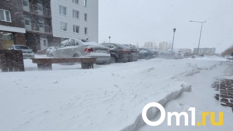 Метель, сильный ветер до 17 м/с и морозы до минус 20. Омичам рассказали о сюрпризах погоды в начале весны