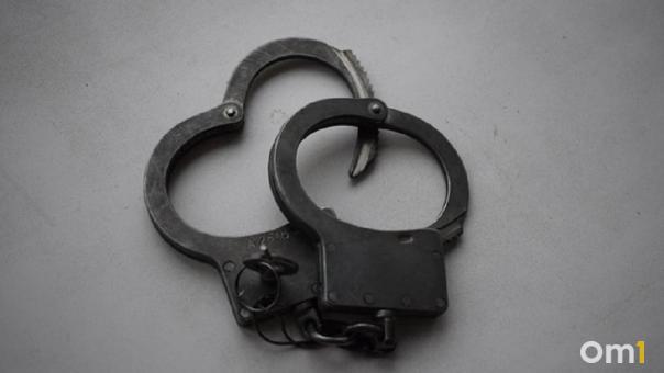 Пожилая омичка и её сын торговали наркотиками в интернет-магазине