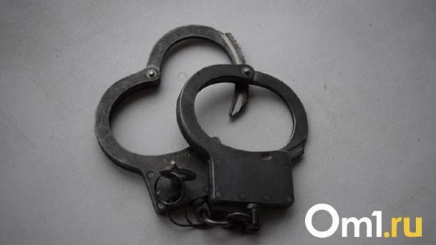 Пожилая омичка и её сын торговали наркотиками в интернет-магазине