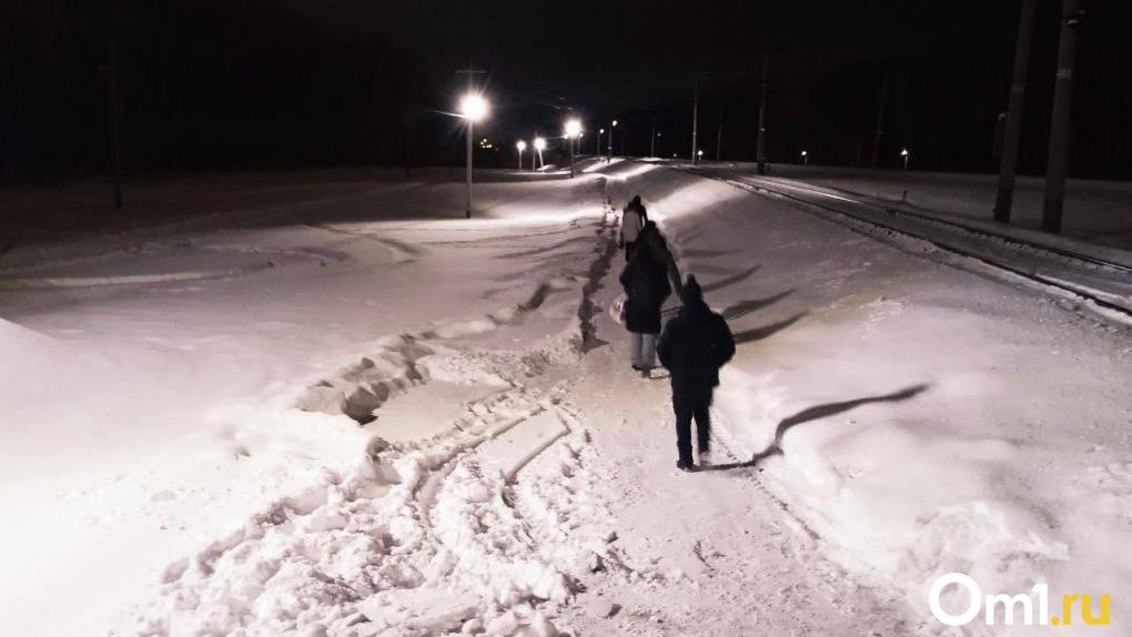 Омичи просят вернуть пешеходную дорогу в Чкаловск