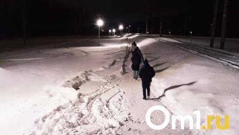 Омичи просят вернуть пешеходную дорогу в Чкаловск