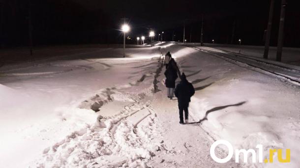 Омичи просят вернуть пешеходную дорогу в Чкаловск