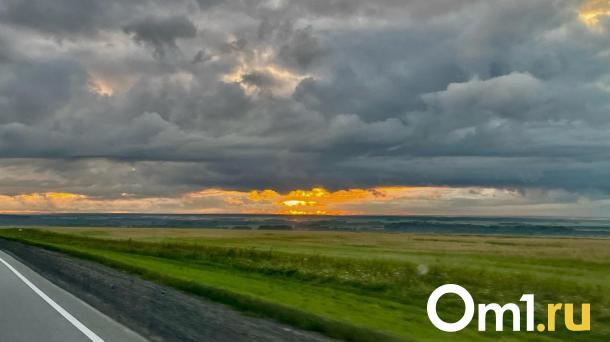 В Омской области назвали места, где животные могут выскочить на дорогу