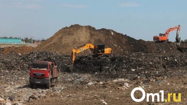 В Омской области потратят 116 миллионов рублей на ликвидацию незаконных свалок