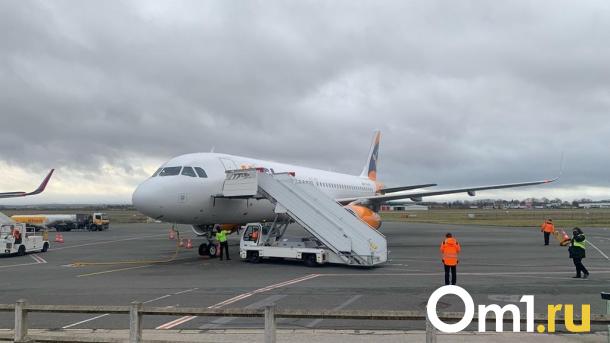 Аэропорт Омск-Фёдоровка планируют построить за четыре года