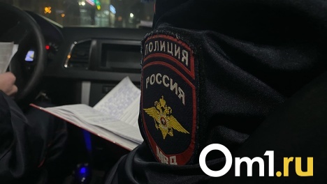 Официально: Следком сообщил о задержании подозреваемых в тройном убийстве семьи под Омском