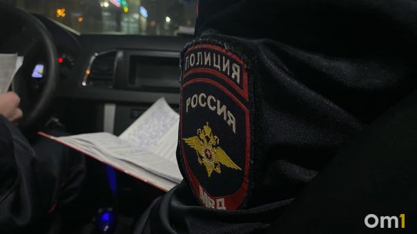 Официально: Следком сообщил о задержании подозреваемых в тройном убийстве семьи под Омском