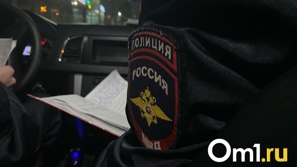 Официально: Следком сообщил о задержании подозреваемых в тройном убийстве семьи под Омском