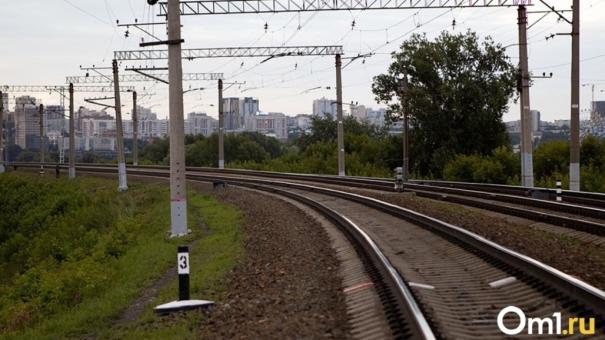 Поезда из Новосибирска в Бишкек снова начнут курсировать с 6 июня