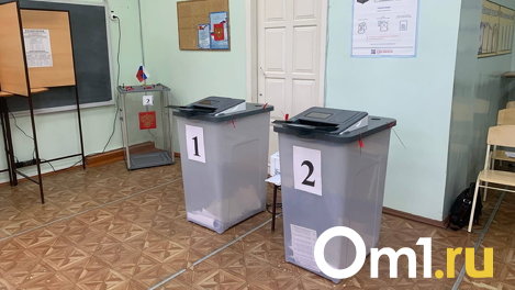 Стала известна сумма на проведение выборов в Омской области