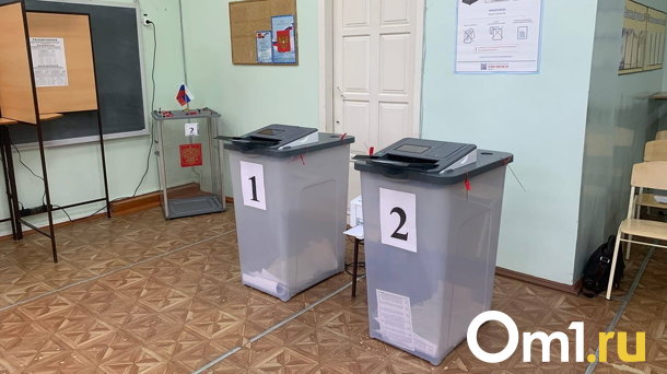 Стала известна сумма на проведение выборов в Омской области