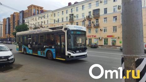 На время ремонта моста у Телецентра в Омске появится новый магистральный маршрут