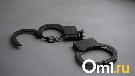За пропаганду воровских ценностей омич отправится в колонию