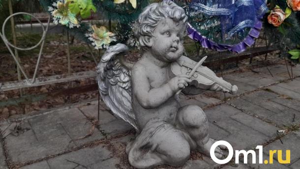 Штормовое предупреждение: новосибирцам лучше не ходить на кладбища