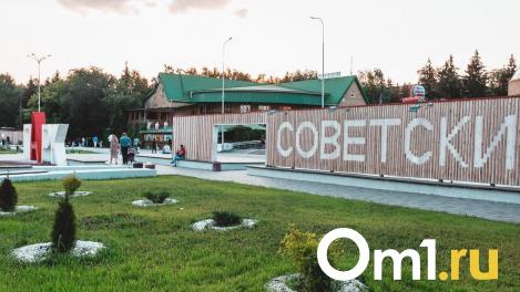 В Советском парке Омска оборудуют зону для отдыха: что там появится?
