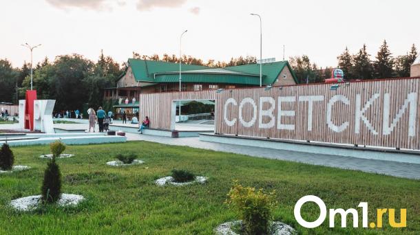 В Советском парке Омска оборудуют зону для отдыха: что там появится?