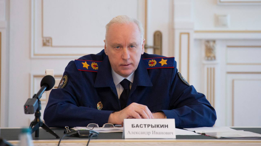 Глава СКР Бастрыкин взял на контроль многочисленные инциденты с нападением бродячих собак в Новосибирске