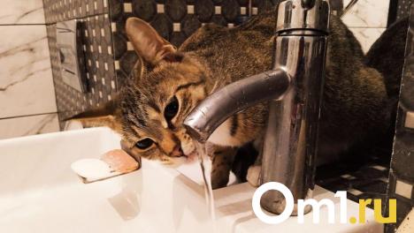 Часть омичей останется без холодной воды в конце апреля