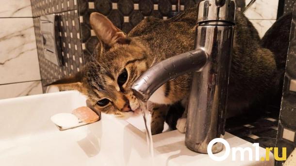 Часть омичей останется без холодной воды в конце апреля