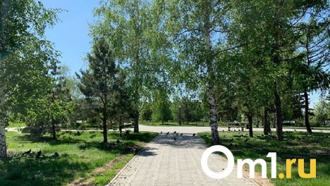 Омскому скверу присвоили имя Владимира Варнавского