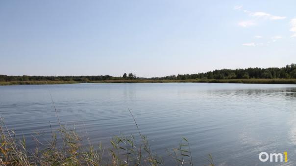 В омские реки в больших количествах слили фенол