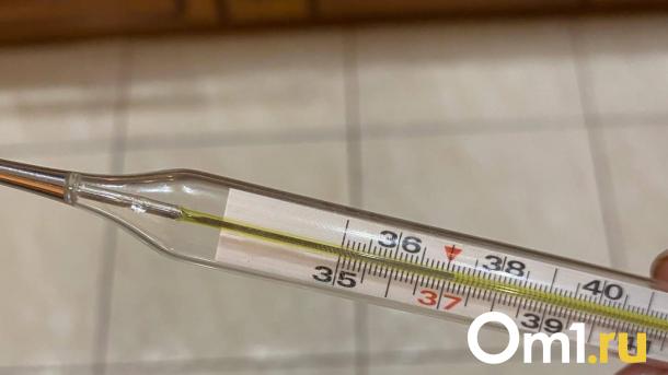 Свалкой опасных градусников на севере Омска заинтересовался Следком