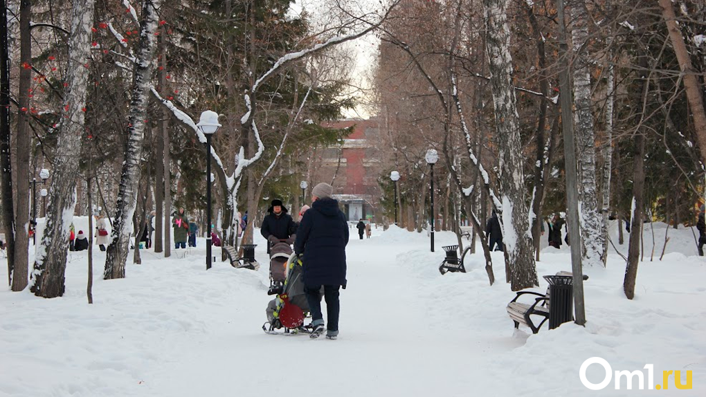 На следующей неделе в Новосибирске синоптики вновь прогнозируют температурные скачки