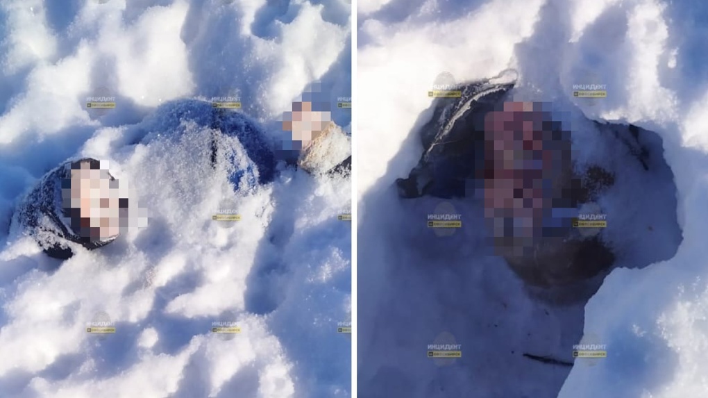 Тело мужчины с обглоданными конечностями нашли в снегу в Новосибирской области
