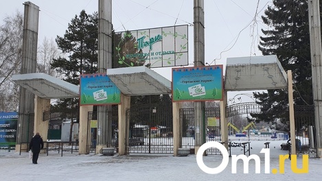 В омском парке имени 30-летия ВЛКСМ соберут аттракцион за 9,3 миллиона