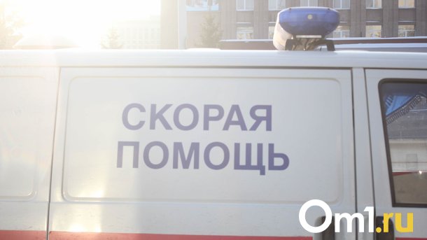 В Новосибирске кусок металла с крыши рассёк голову 9-летнему мальчику