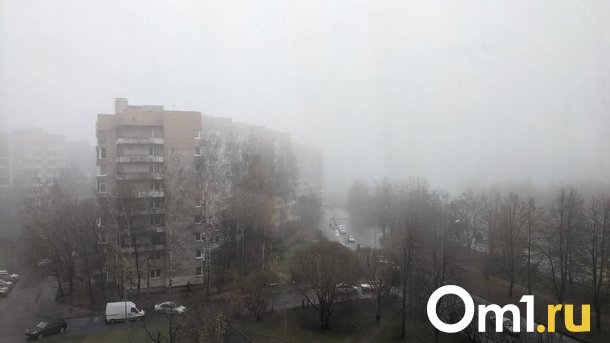В Новосибирской области с 8 августа температура опустится до +5 градусов