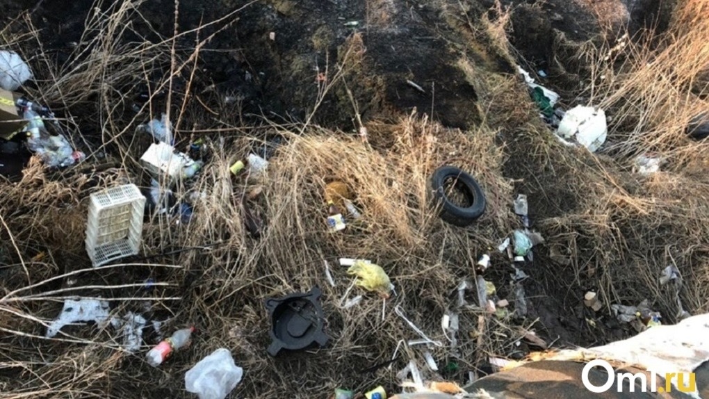 Уголовное дело возбудили после проверки мусорного полигона «Левобережный» в Новосибирске