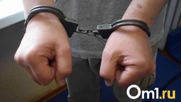 Обвиняемого в убийстве 17-летней сестры под Новосибирском подростка оставили в СИЗО до октября