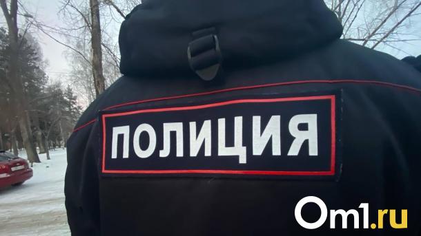 Казахстанский бодибилдер осуждён за провоз анаболиков в Новосибирскую область