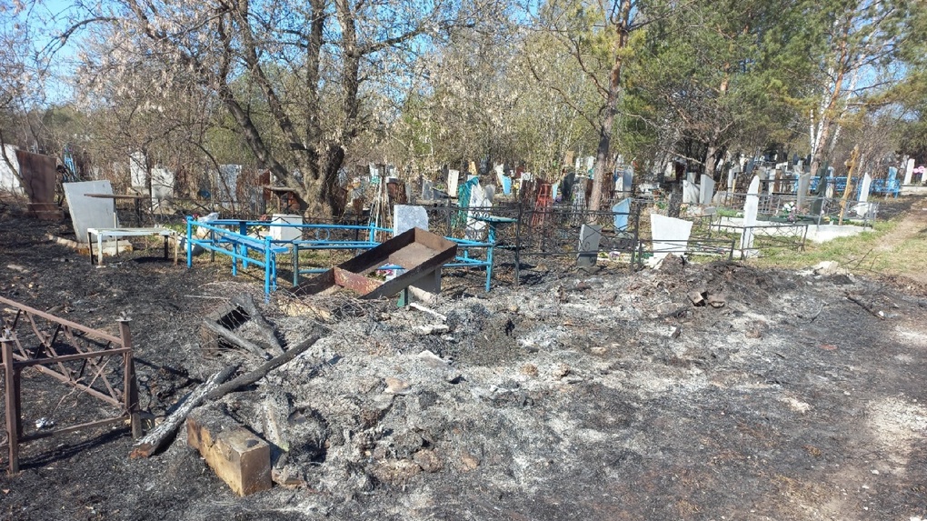 «Замерли и заплакали»: в Новосибирске подожгли Клещихинское кладбище. Шокирующие кадры