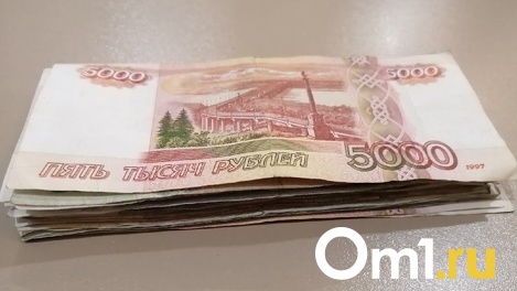 Омское охранное предприятие задолжало за уплату налогов около 39 миллионов рублей