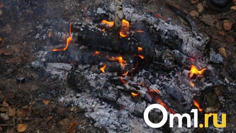 Пожар на ферме в Омской области унёс жизни почти 40 коров