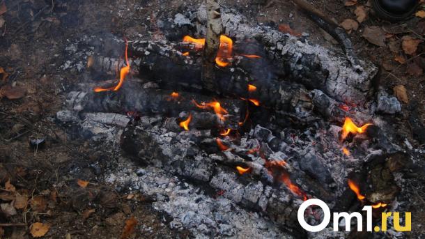 Пожар на ферме в Омской области унёс жизни почти 40 коров