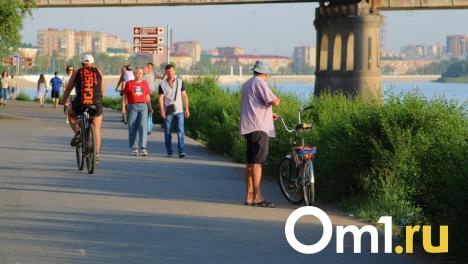 Лето не заставит ждать: жара вернётся в Омскую область к концу рабочей недели