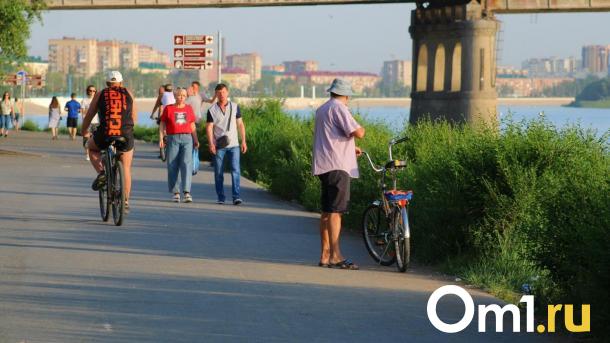 Лето не заставит ждать: жара вернётся в Омскую область к концу рабочей недели