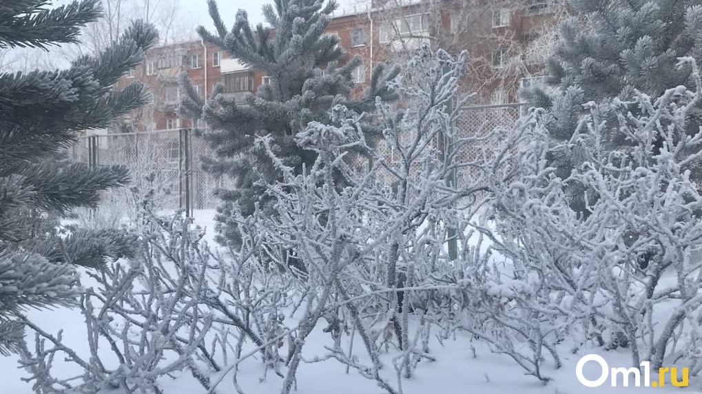Морозы до -26 градусов ударят в Новосибирске