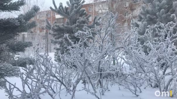 Морозы до -26 градусов ударят в Новосибирске