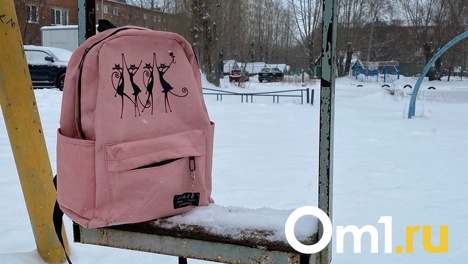В Омске напали на 8-летнюю девочку, когда она гуляла с подругой