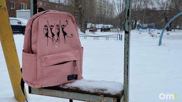 В Омске напали на 8-летнюю девочку, когда она гуляла с подругой