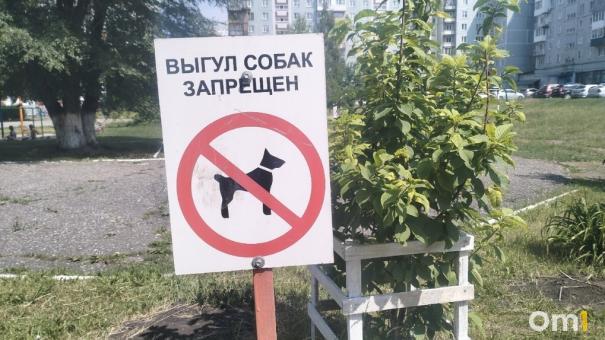 Выгул больших собак без намордника запретят в Новосибирской области