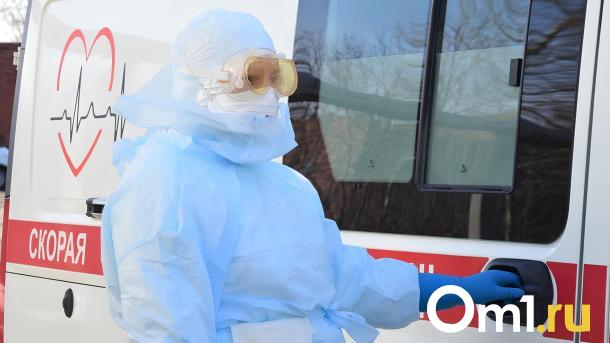 Новосибирск накрывает волна ОРВИ: неделя показала рост заболеваемости